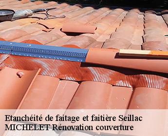 Etanchéité de faitage et faitière seillac-41150 MICHELET Rénovation couverture