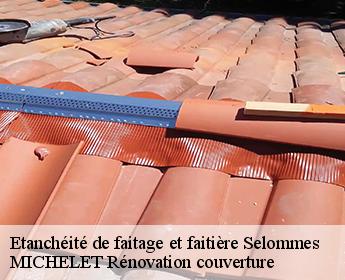 Etanchéité de faitage et faitière selommes-41100 MICHELET Rénovation couverture