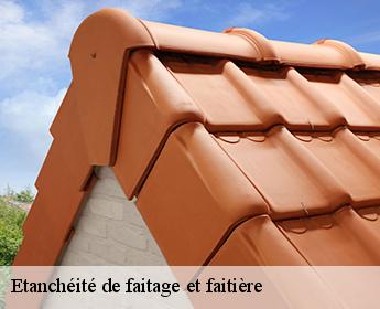 Etanchéité de faitage et faitière 41160