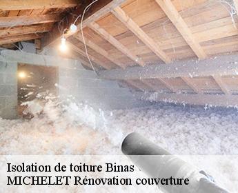 Isolation de toiture 41240