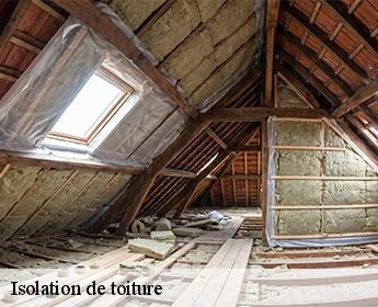 Isolation de toiture