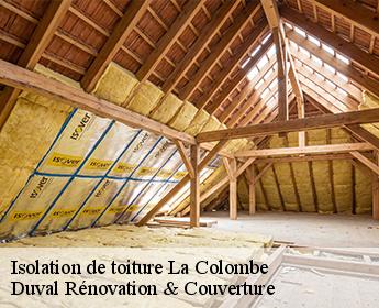 Isolation de toiture 41160