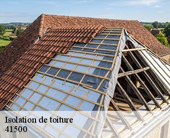 Isolation de toiture  41500