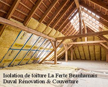 Isolation de toiture  41210