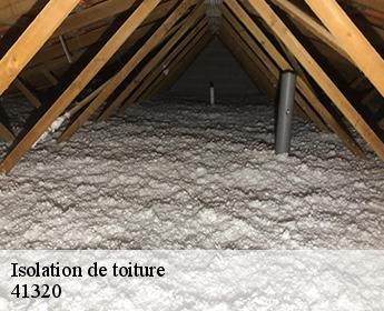 Isolation de toiture 41320