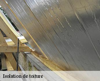 Isolation de toiture 41320