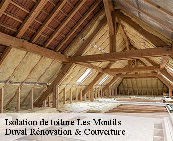 Isolation de toiture les-montils-41120 Duval Rénovation & Couverture