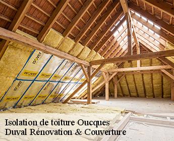 Isolation de toiture 41290
