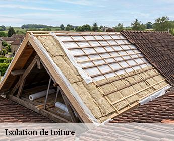 Isolation de toiture 41100