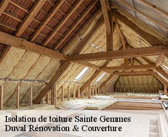 Isolation de toiture sainte-gemmes-41290 Duval Rénovation & Couverture