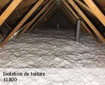 Isolation de toiture 41800