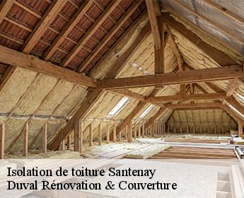 Isolation de toiture  santenay-41190 Duval Rénovation & Couverture
